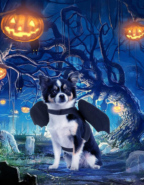 Load image into Gallery viewer, Dog Halloween Costume - Halloween Bat Wings Pet Costumes for Dogs Cats Halloween Party Medium
