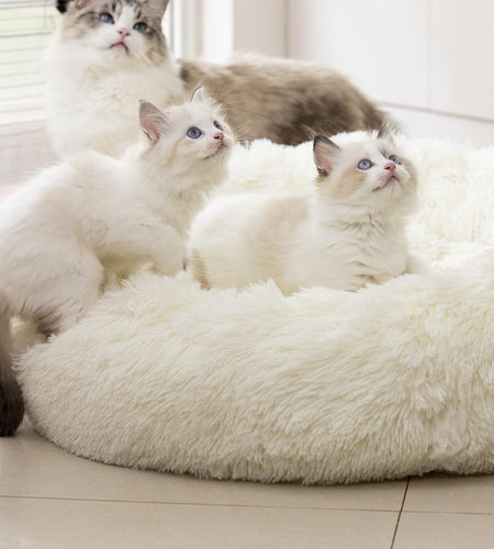 anti Anxiety round Fluffy Plush Faux Fur Warm Washable Dog Bed & Cat Bed, Original Bed for Small Medium Large Pets,Used to Relieve Joints and Improve Sleep（20"/24"/27''） (27", White)